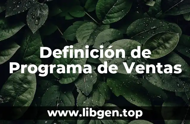 Definición de Programa de Ventas