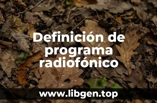 Definición de programa radiofónico