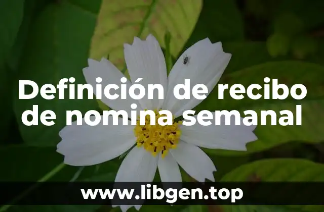 Definición de recibo de nomina semanal