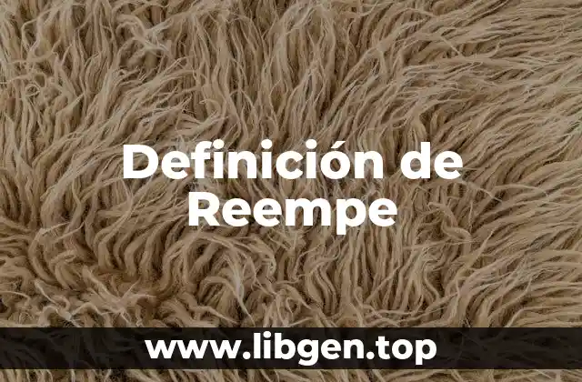 Definición de Reempe