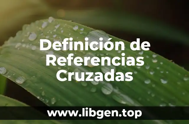 Definición de Referencias Cruzadas