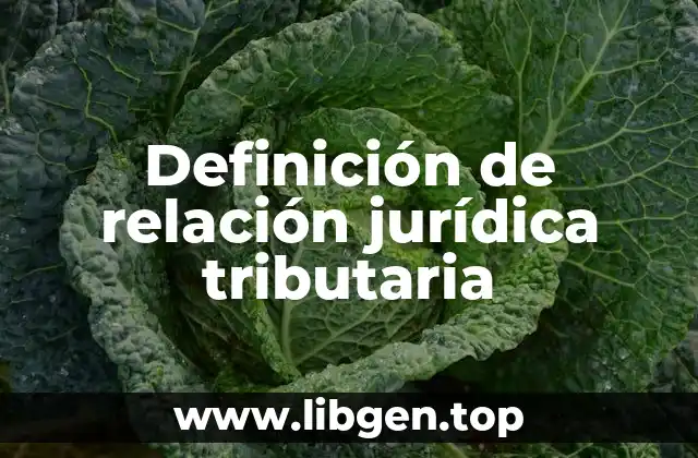 Definición de relación jurídica tributaria