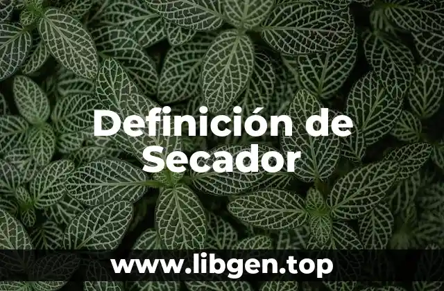 Definición de Secador