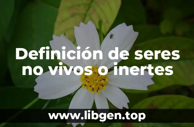 Definición de seres no vivos o inertes