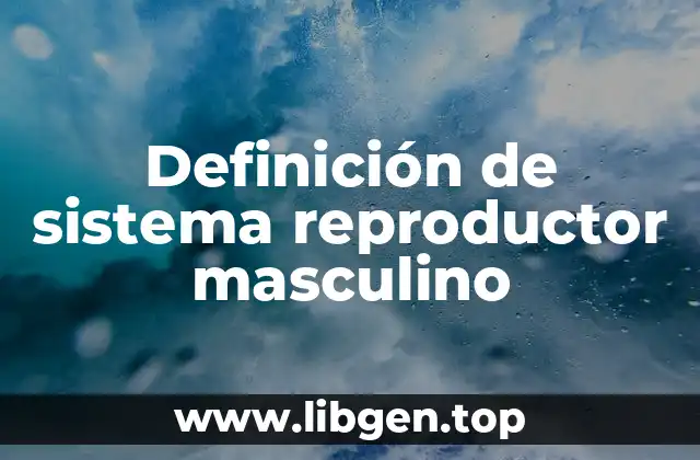 Definición de sistema reproductor masculino