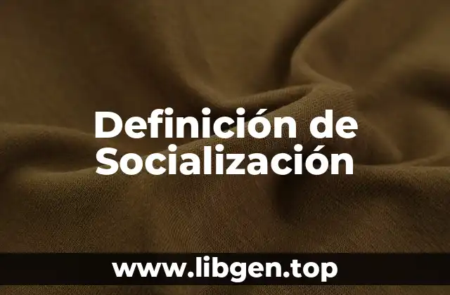 Definición de Socialización