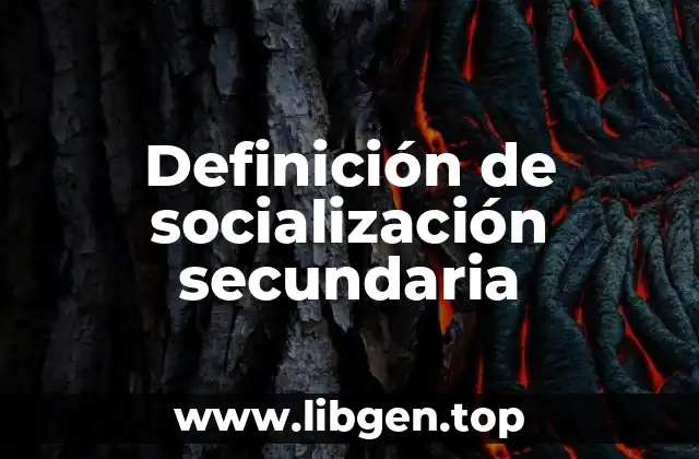 Definición de socialización secundaria