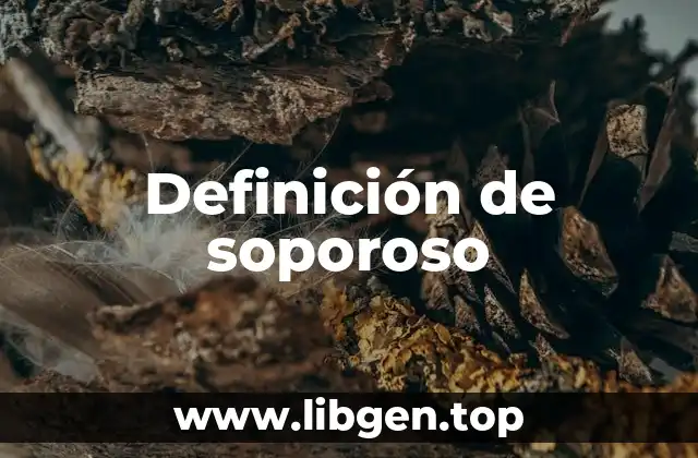 Definición de soporoso