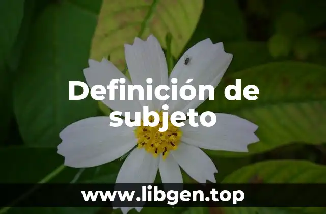 Definición de subjeto