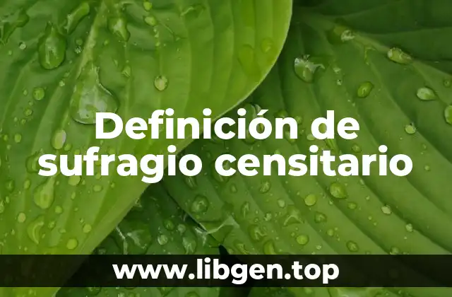 Definición de sufragio censitario