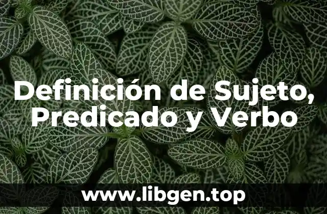Definición de Sujeto, Predicado y Verbo
