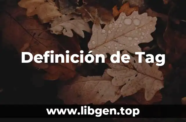 Definición de Tag