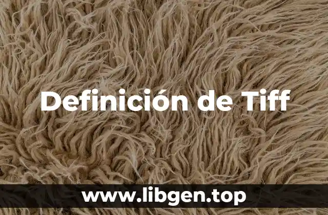 Definición técnica de Tiff