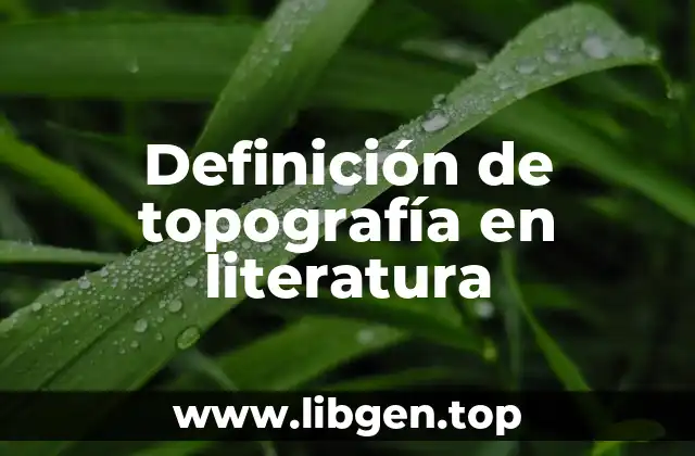 Definición de topografía en literatura