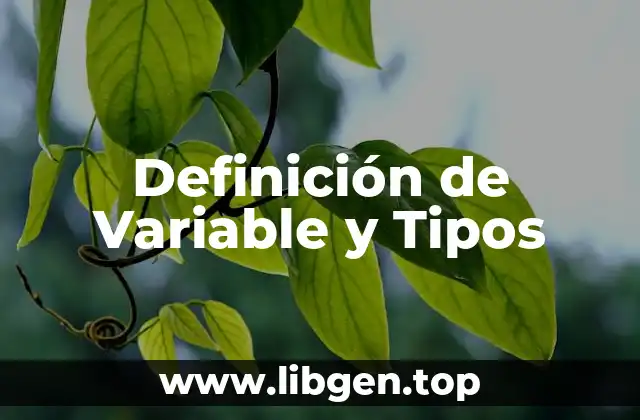 Definición técnica de Variable