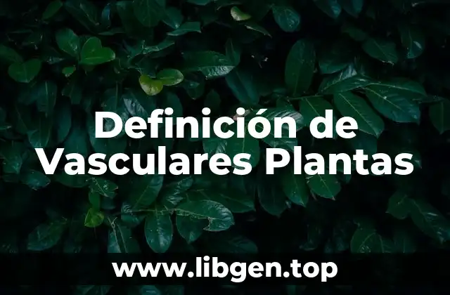 Definición técnica de planta vascular
