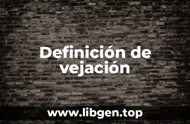 Definición de vejación