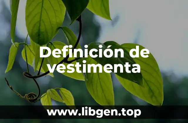 Definición de vestimenta