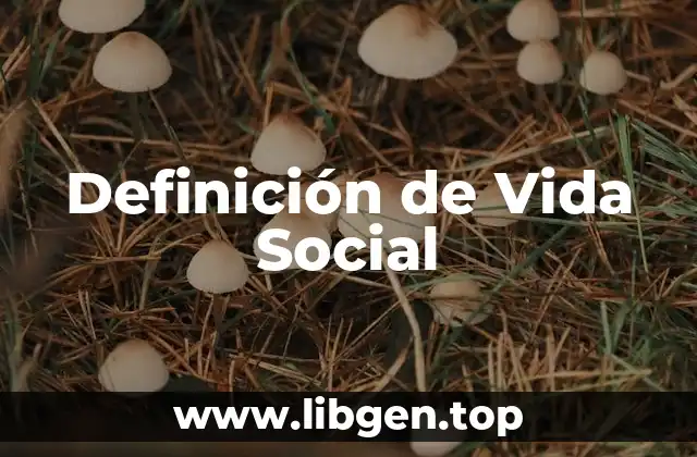 Definición de Vida Social