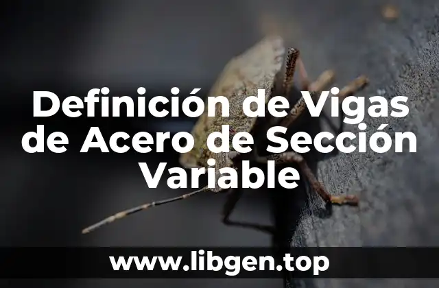 Definición de Vigas de Acero de Sección Variable