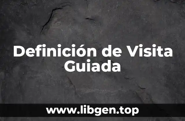 Definición de Visita Guiada