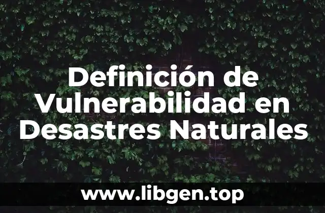 Ejemplos de Vulnerabilidad en Desastres Naturales