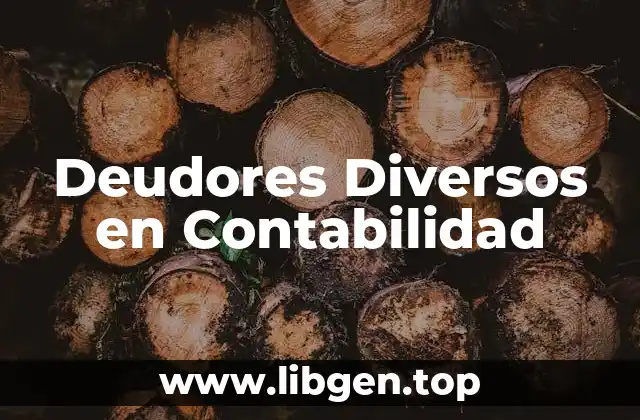 Deudores Diversos en Contabilidad