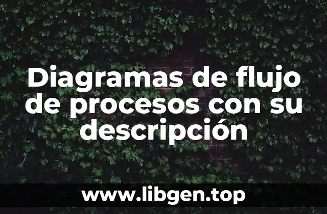 Ejemplos de diagramas de flujo de procesos