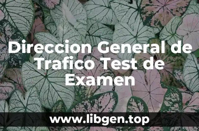 ¿Cuáles son los Requisitos para Inscibirse en el Test de Examen de la DGT?