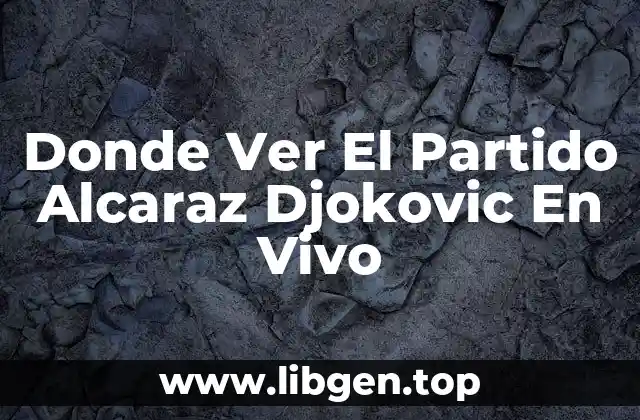 Donde Ver El Partido Alcaraz Djokovic En Vivo