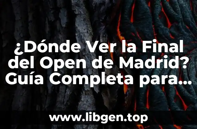 ¿Dónde Ver la Final del Open de Madrid? Guía Completa para Seguir el Torneo de Tenis