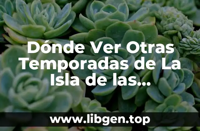 Dónde Ver Otras Temporadas de La Isla de las Tentaciones