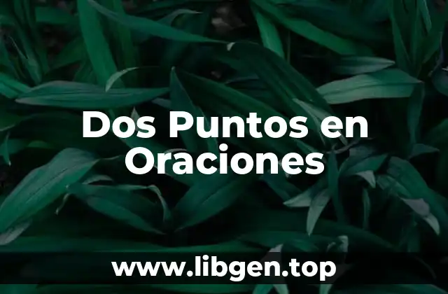 Dos Puntos en Oraciones