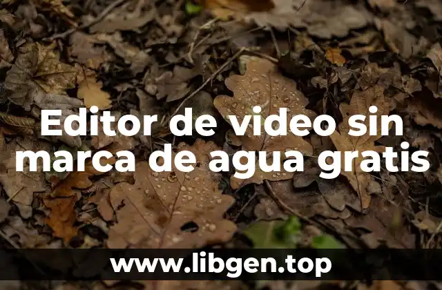 Editor de video sin marca de agua gratis