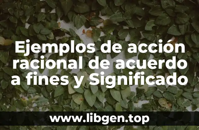 Ejemplos de acción racional de acuerdo a fines y Significado
