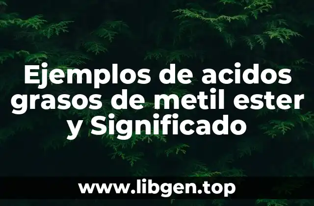 Ejemplos de acidos grasos de metil ester y Significado
