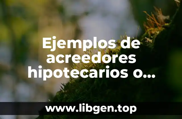 Ejemplos de acreedores hipotecarios o hipotecas por pagar