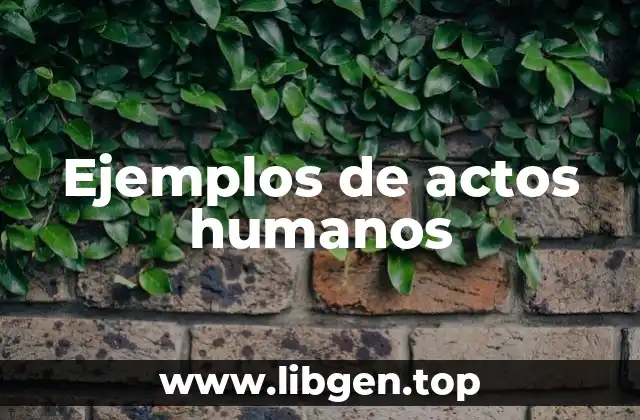 Ejemplos de actos humanos
