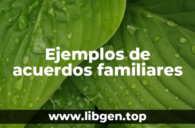 Ejemplos de acuerdos familiares