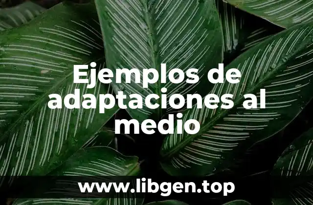 Ejemplos de adaptaciones al medio