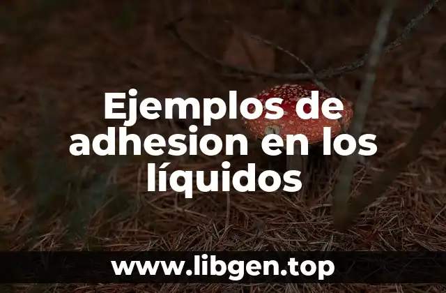 Ejemplos de adhesion en los líquidos