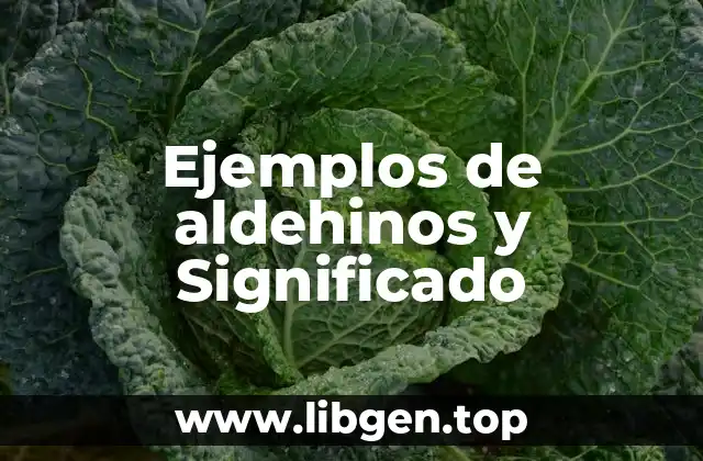 Ejemplos de aldehinos y Significado
