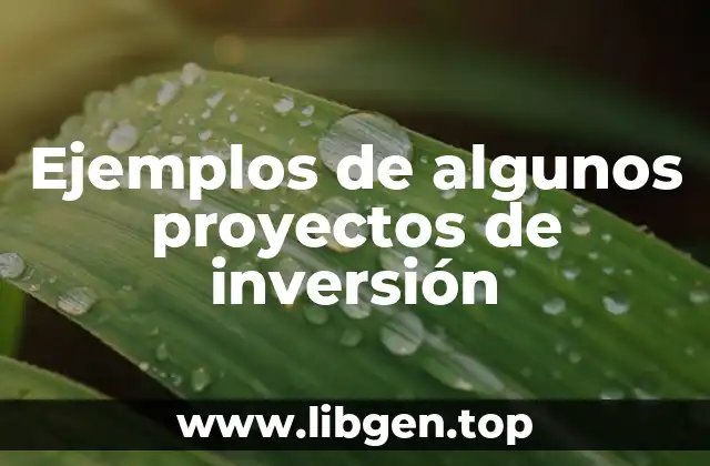 Ejemplos de algunos proyectos de inversión