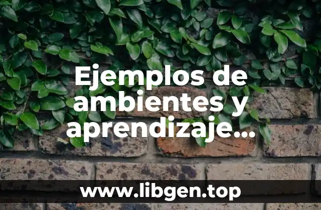 Ejemplos de ambientes y aprendizaje transversales en preescolar