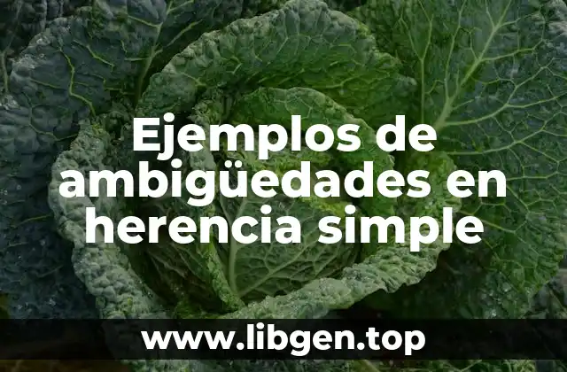 Ejemplos de ambigüedades en herencia simple