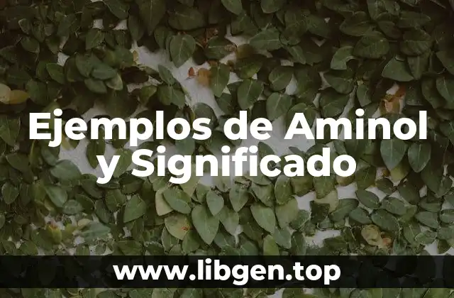 Ejemplos de Aminol y Significado