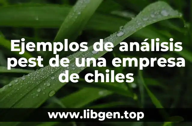 Ejemplos de análisis pest de una empresa de chiles