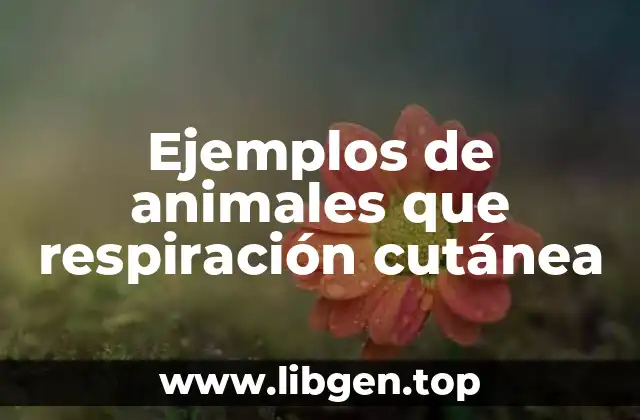 Ejemplos de animales que respiración cutánea