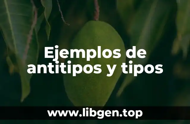 Ejemplos de antitipos y tipos