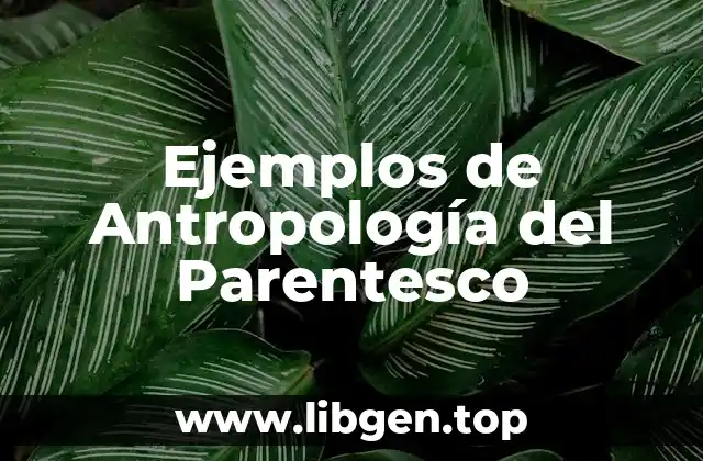 Ejemplos de Antropología del Parentesco
